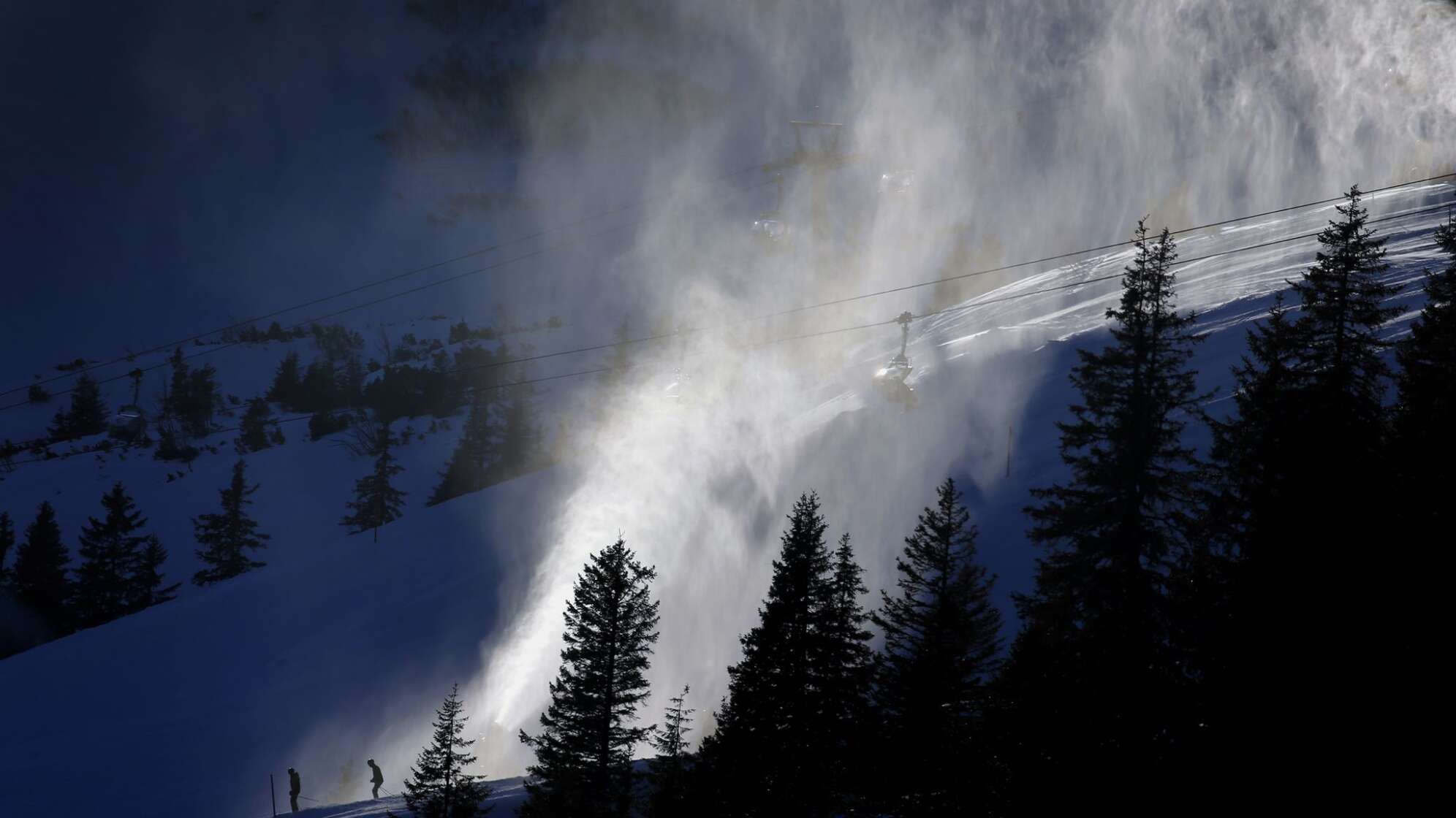 Birkhuhn in Gefahr? LBV macht Front gegen Liftbau im Allgäu