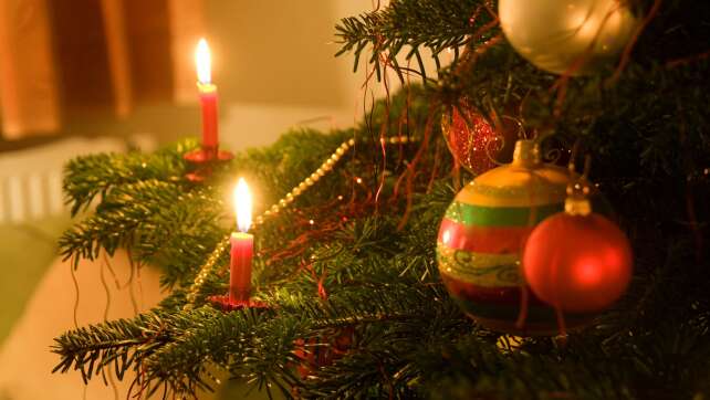 Originelle Christbaum-Challenge in Freyung: Vereine und Stammtische zeigen ihre Kreativität auf dem Weihnachtsmarkt