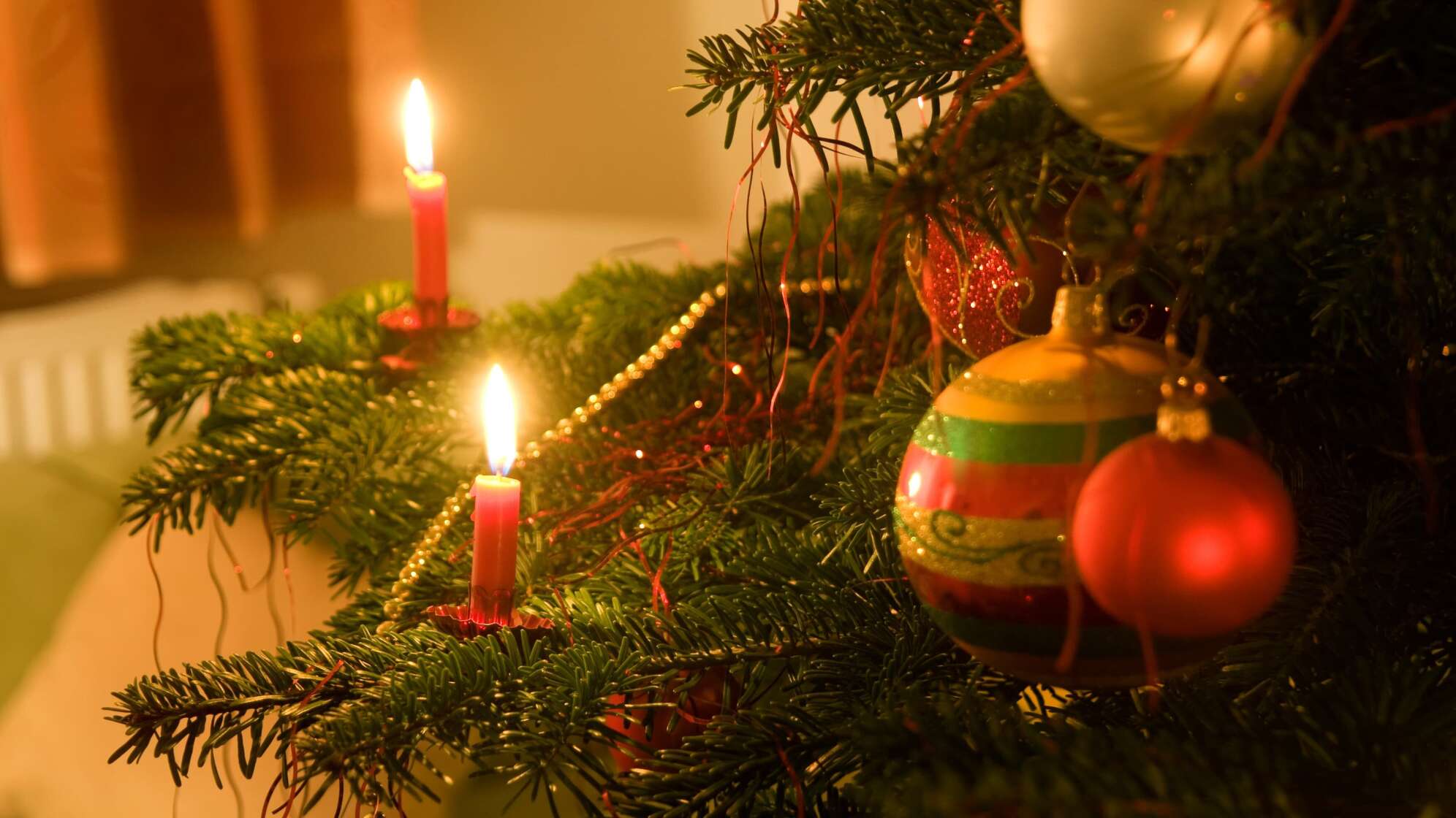 Christbaum, Weihnachtsbaum