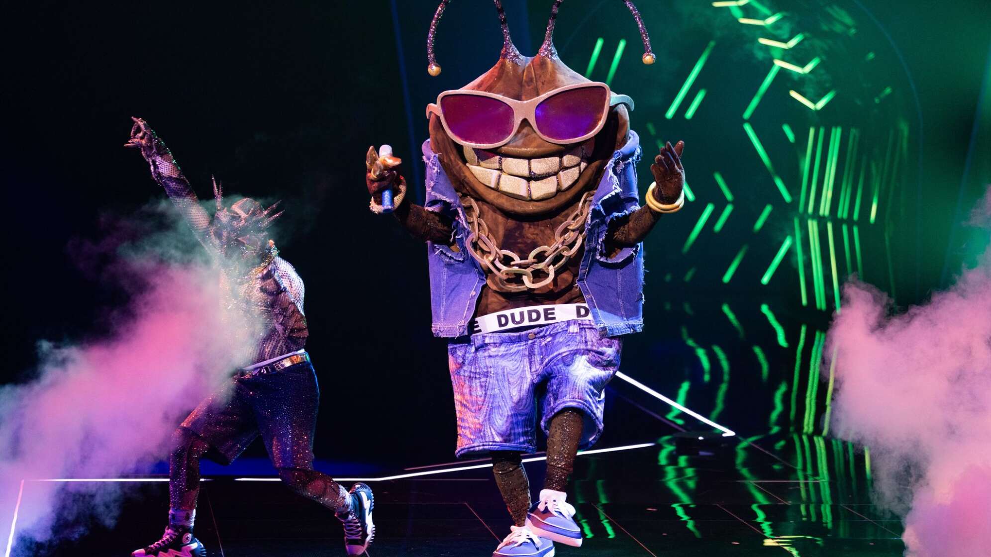 „The Masked Singer“