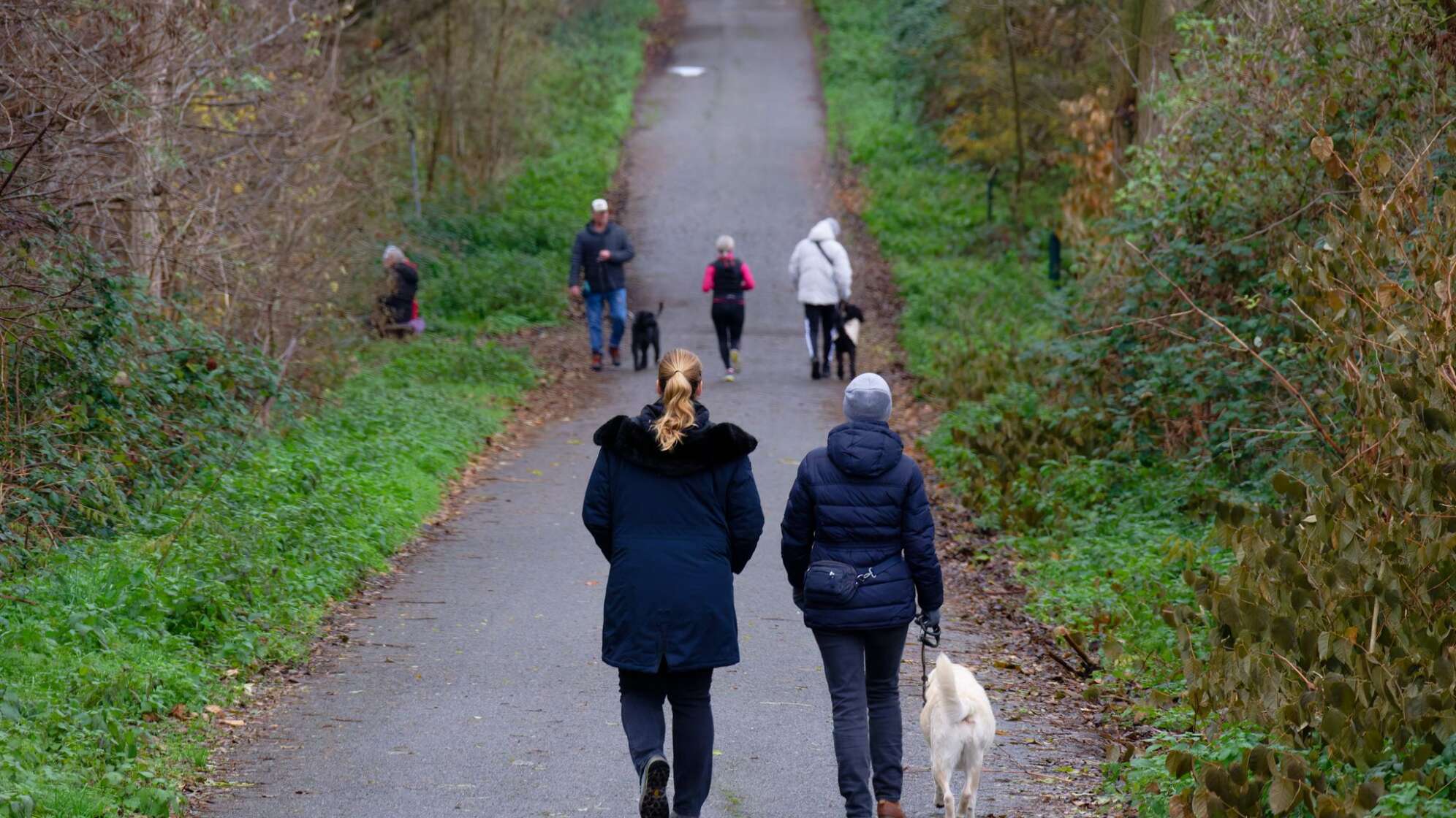 Wetterausblick zum Start in die neue Woche