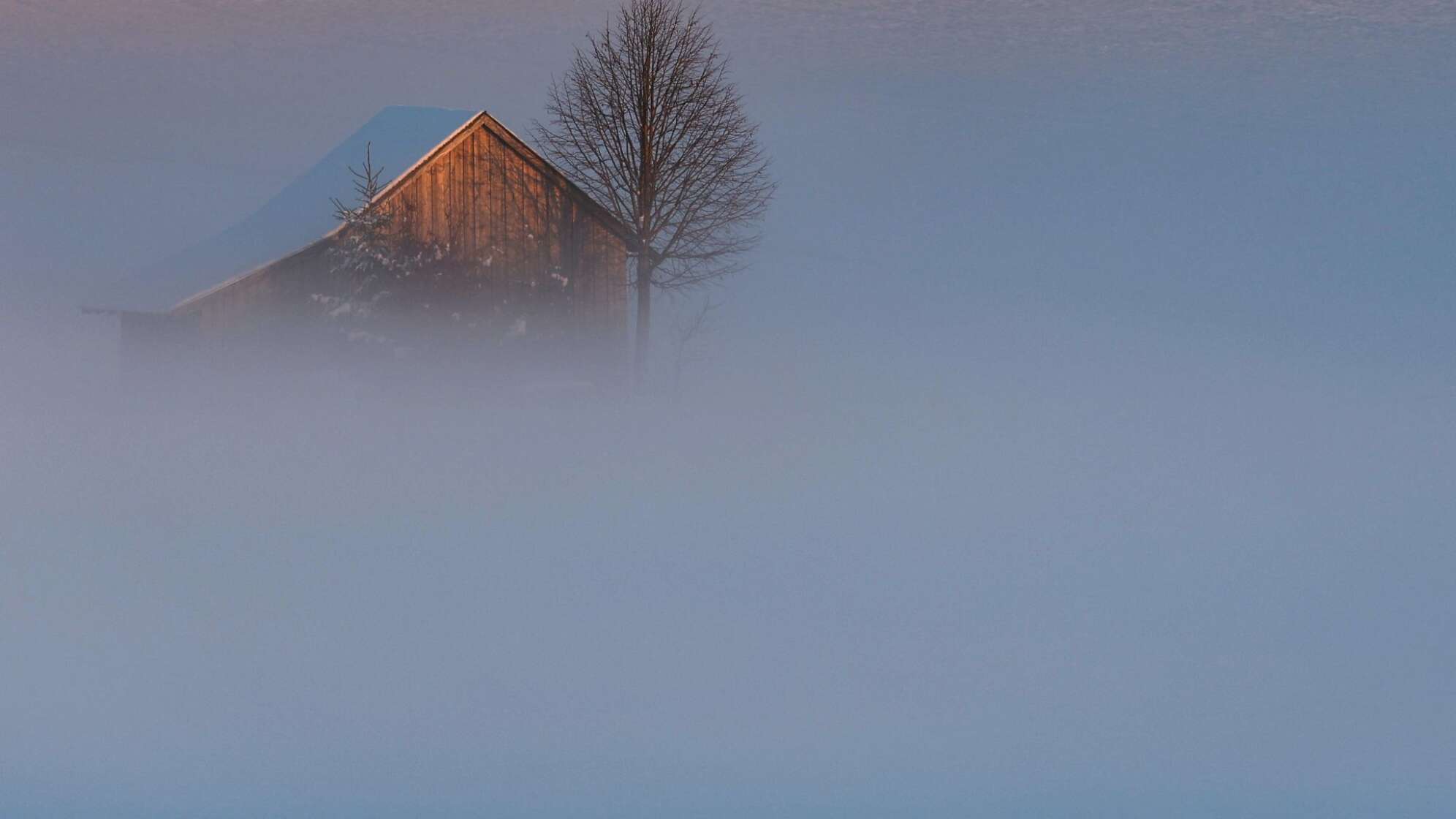 Abendliche Winterlandschaft