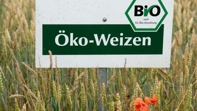 Bayern verliert Ökolandbau-Ausbau immer mehr aus den Augen