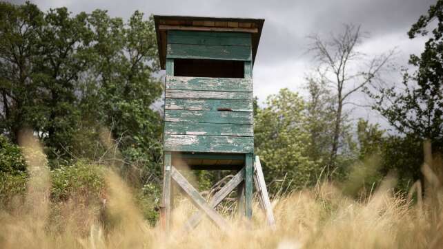 Kabinett bringt nach langem Gezerre Jagdgesetz auf den Weg