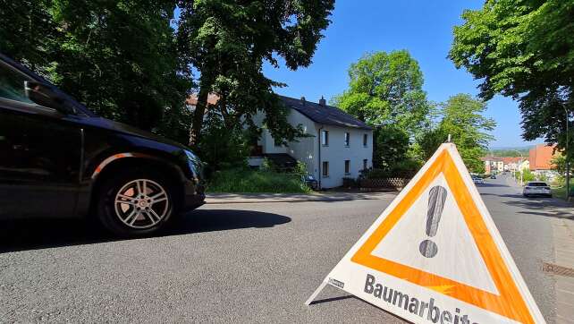 Seilbrücke in Nürnberg soll Eichhörnchen vor Autos schützen