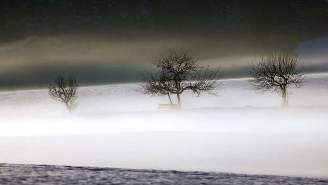 Trüber Start ins Wochenende - milde Temperaturen