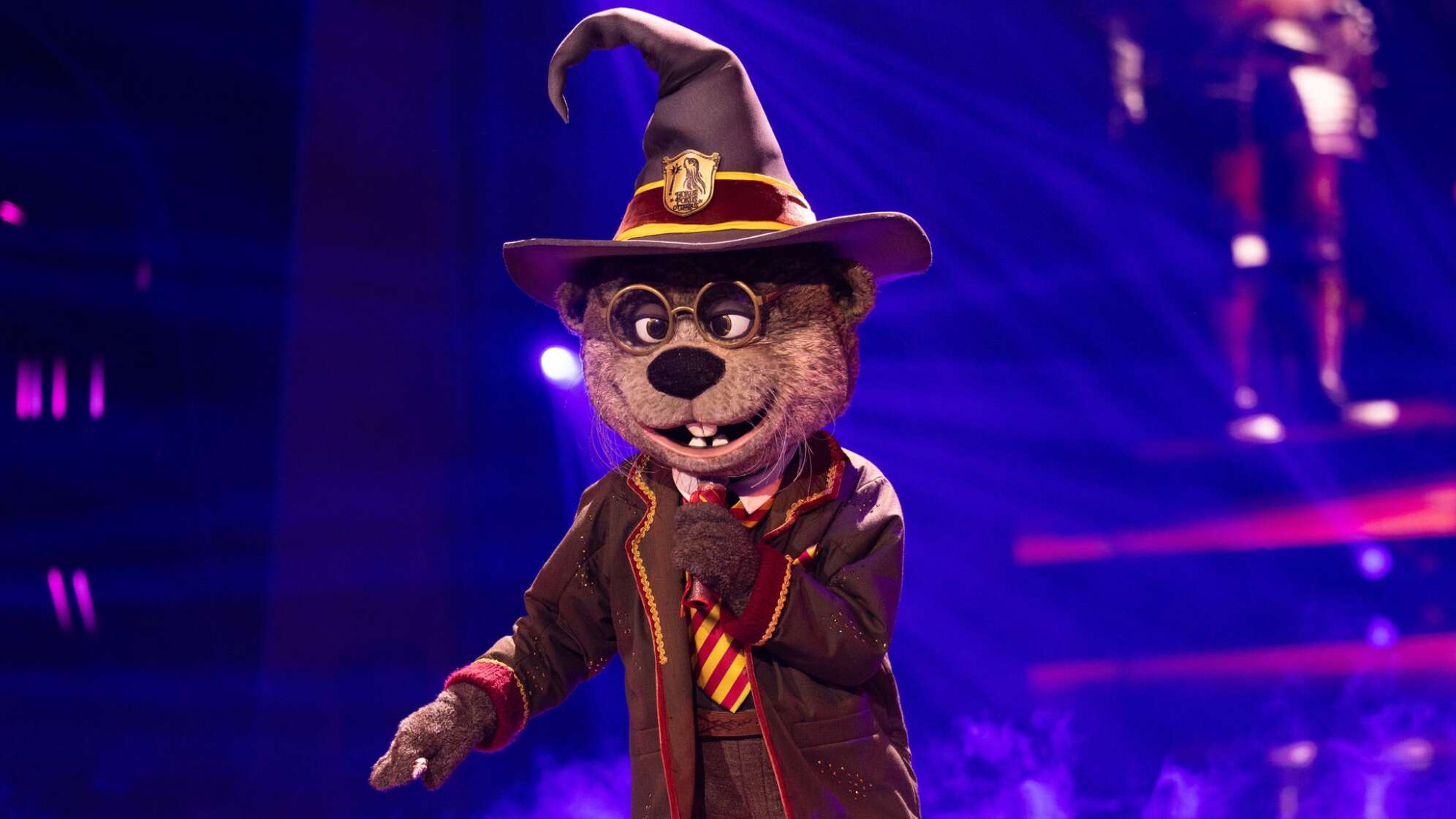 „The Masked Singer“