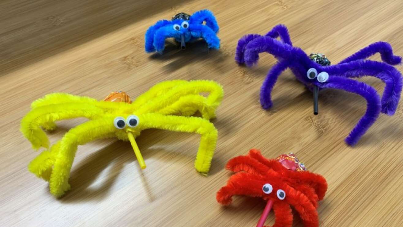 Halloween-Spinnen Anleitung