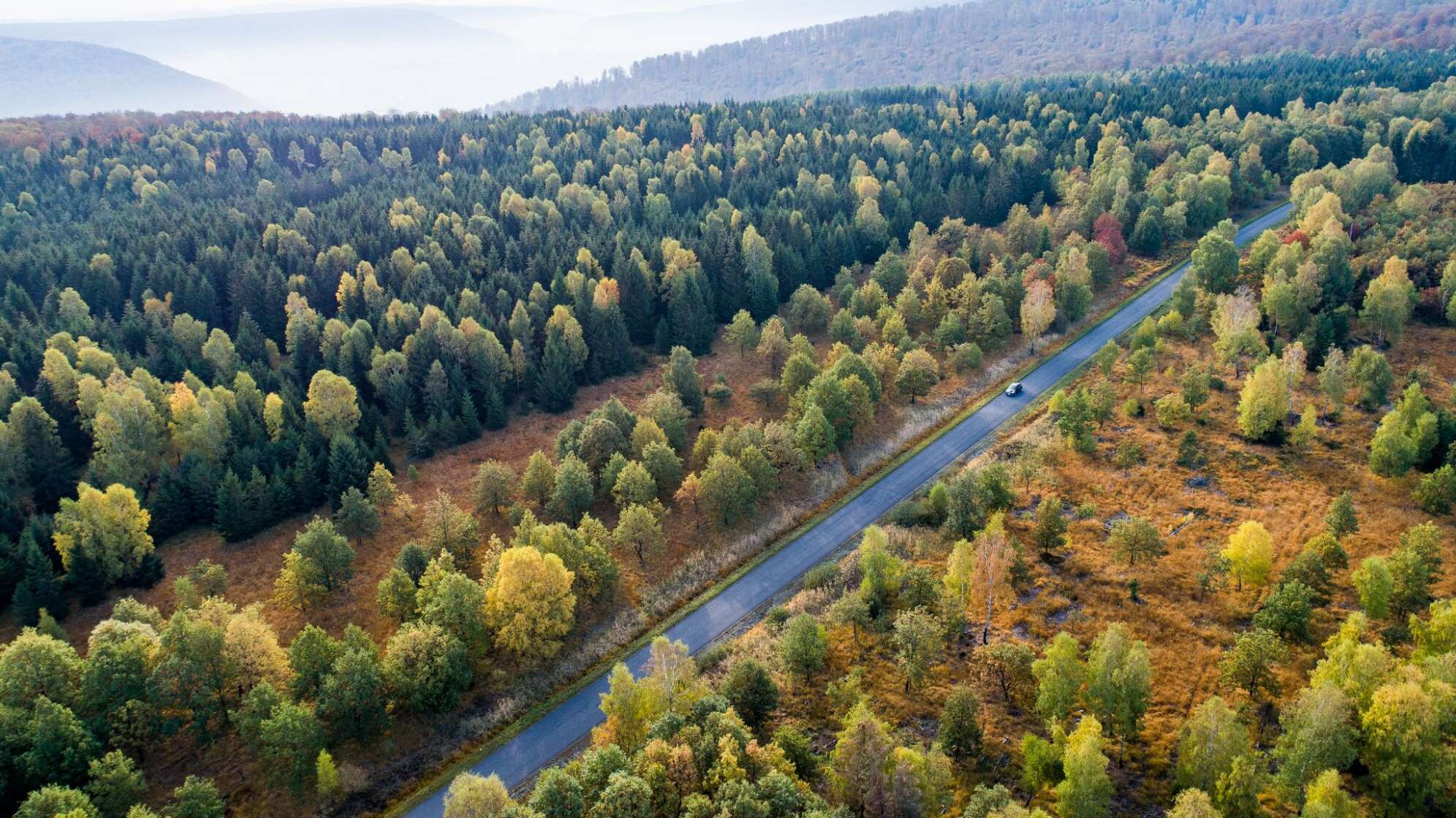 Forscher fordern CO2-Entnahmen