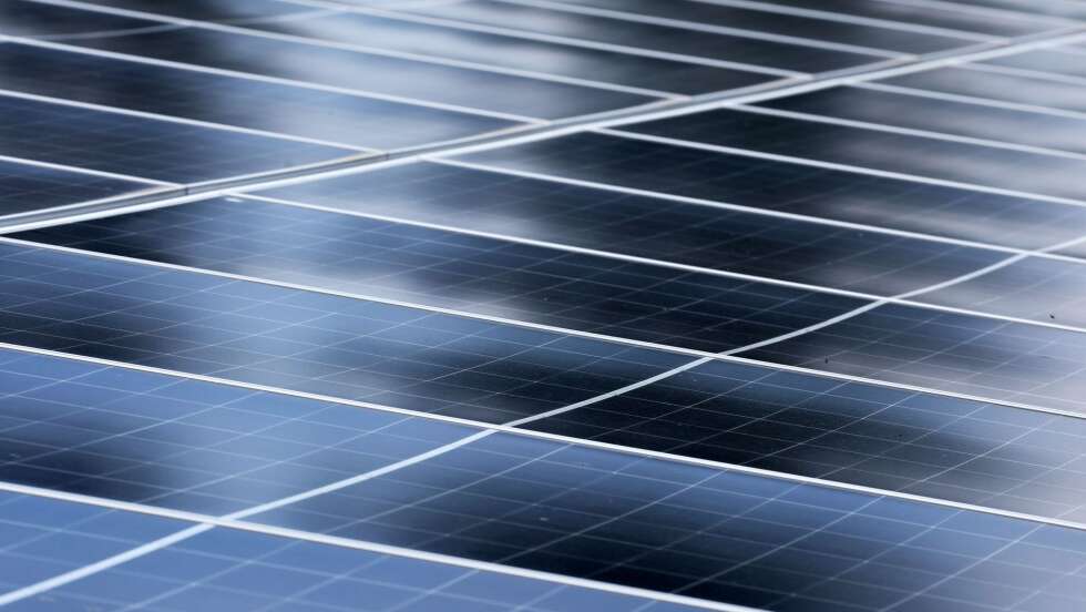 Stadt Memmingen setzt Klimaschutz-Förderprogramm fort – Anträge ab sofort möglich