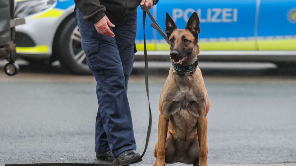 10.000 Euro Waren transportiert – 22-Jähriger festgenommen