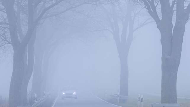 Vollbesetzter Schulbus verfehlt im Nebel Abbiegung