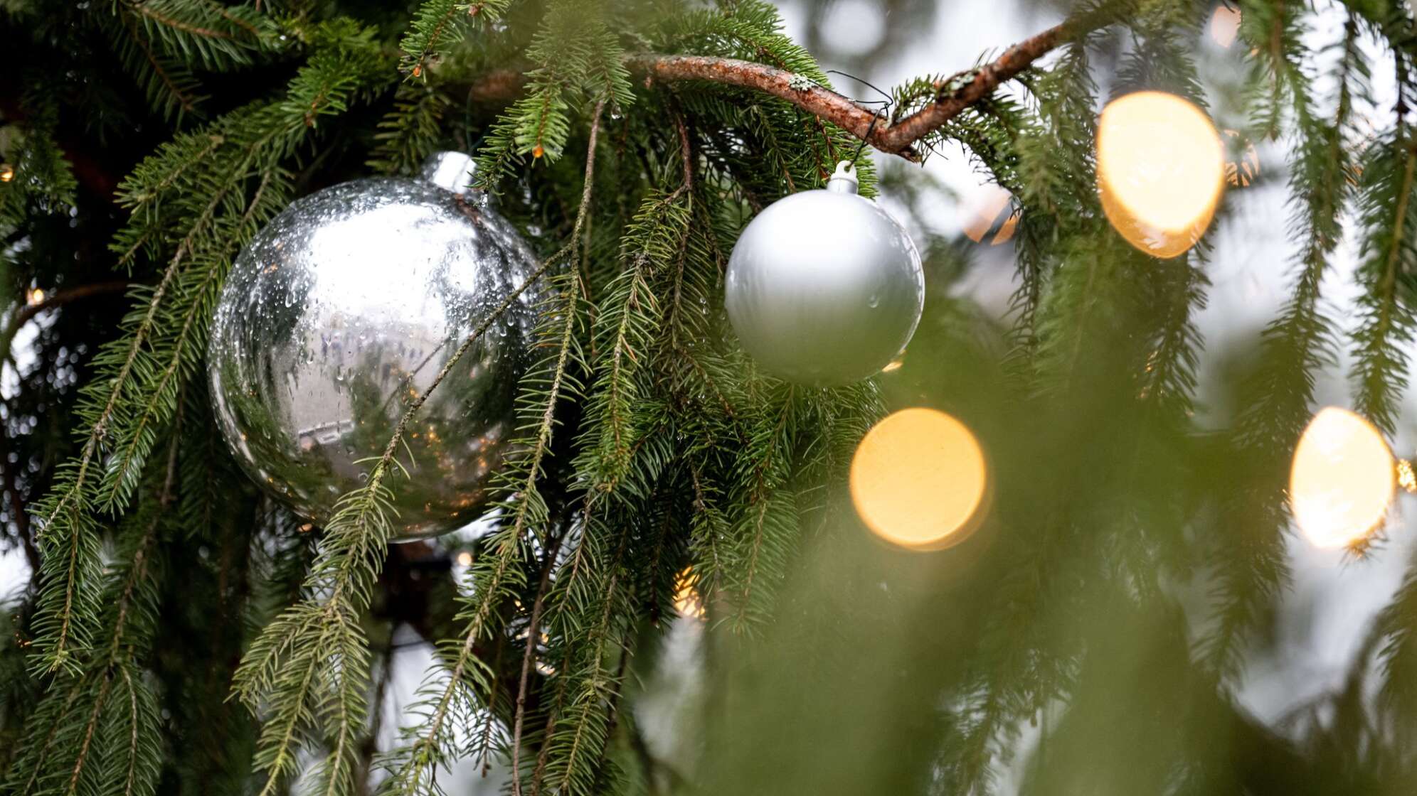 Weihnachtsbaum