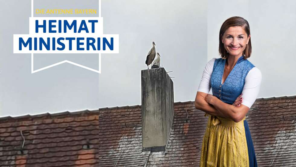 Die ANTENNE BAYERN Heimatministerin: Neues Nest fürs Storchenpaar gesucht