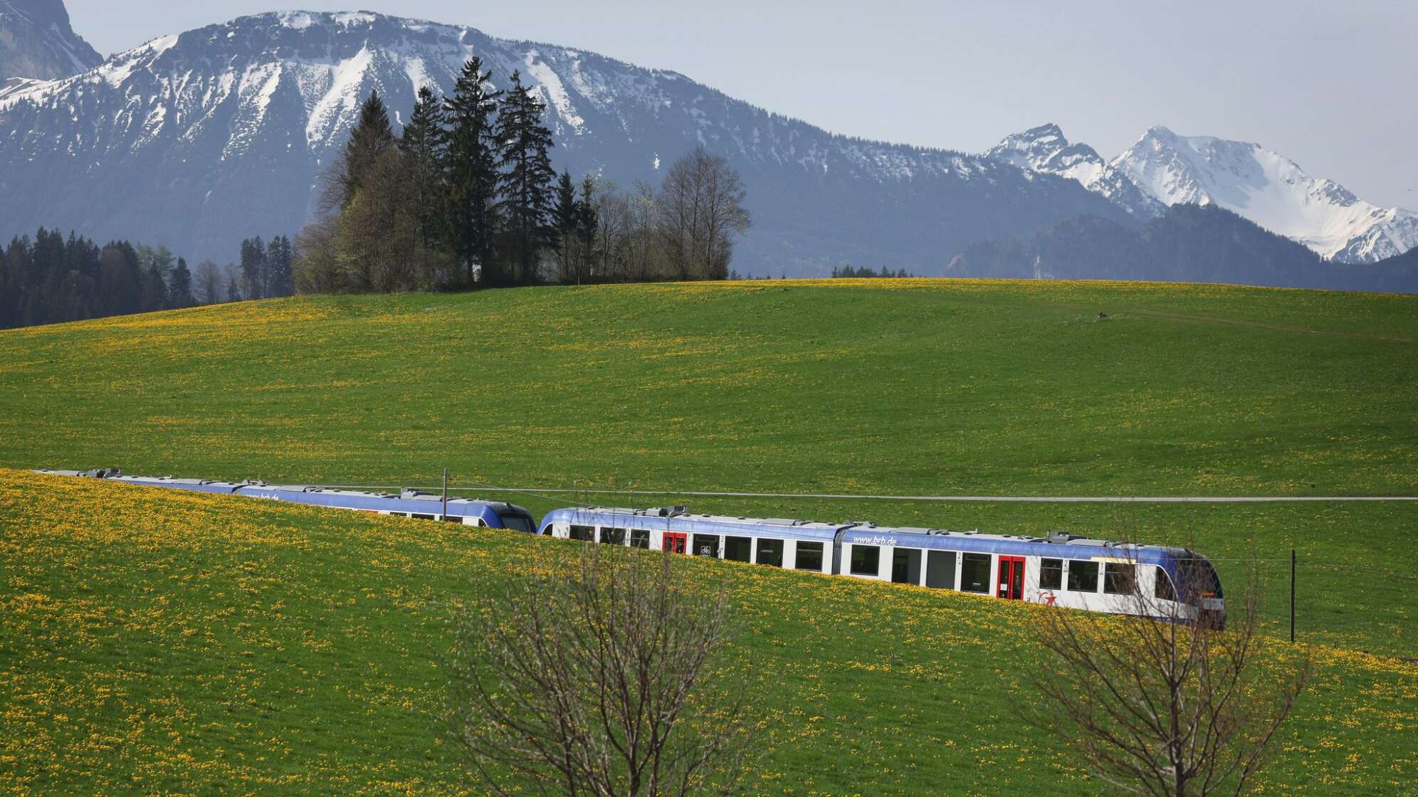 Zug der Bayerischen Regionalbahn