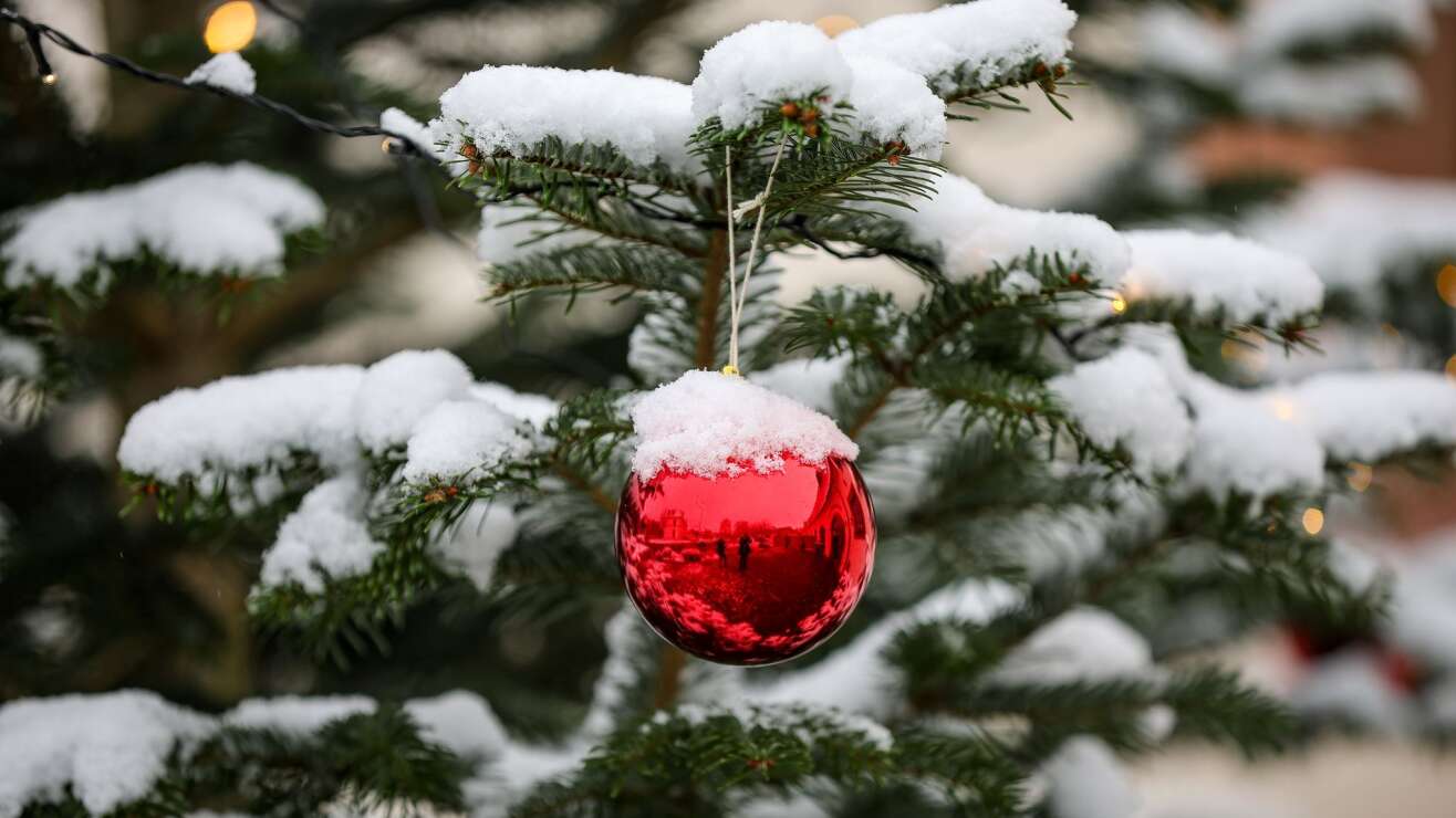 Weihnachtslieder-Quiz: Wie gut kennst du diese Christmas-Songs?