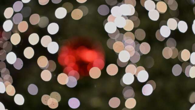 Dieb bringt gestohlenen Weihnachtsbaum zurück