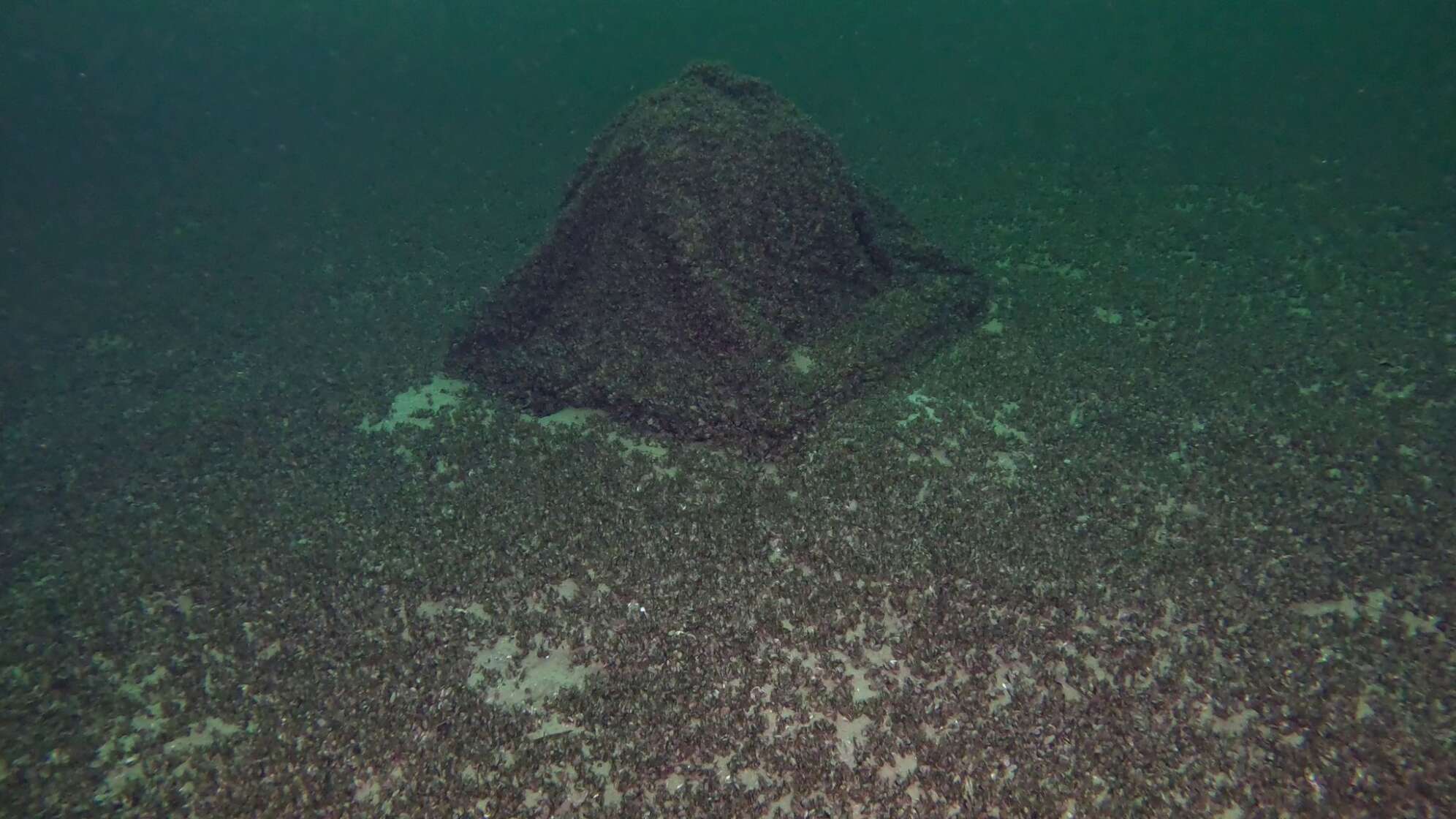 Gin-Kugel im Bodensee gefunden