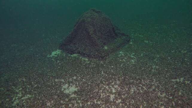 Vermisste Kugel mit Gin im Bodensee gefunden