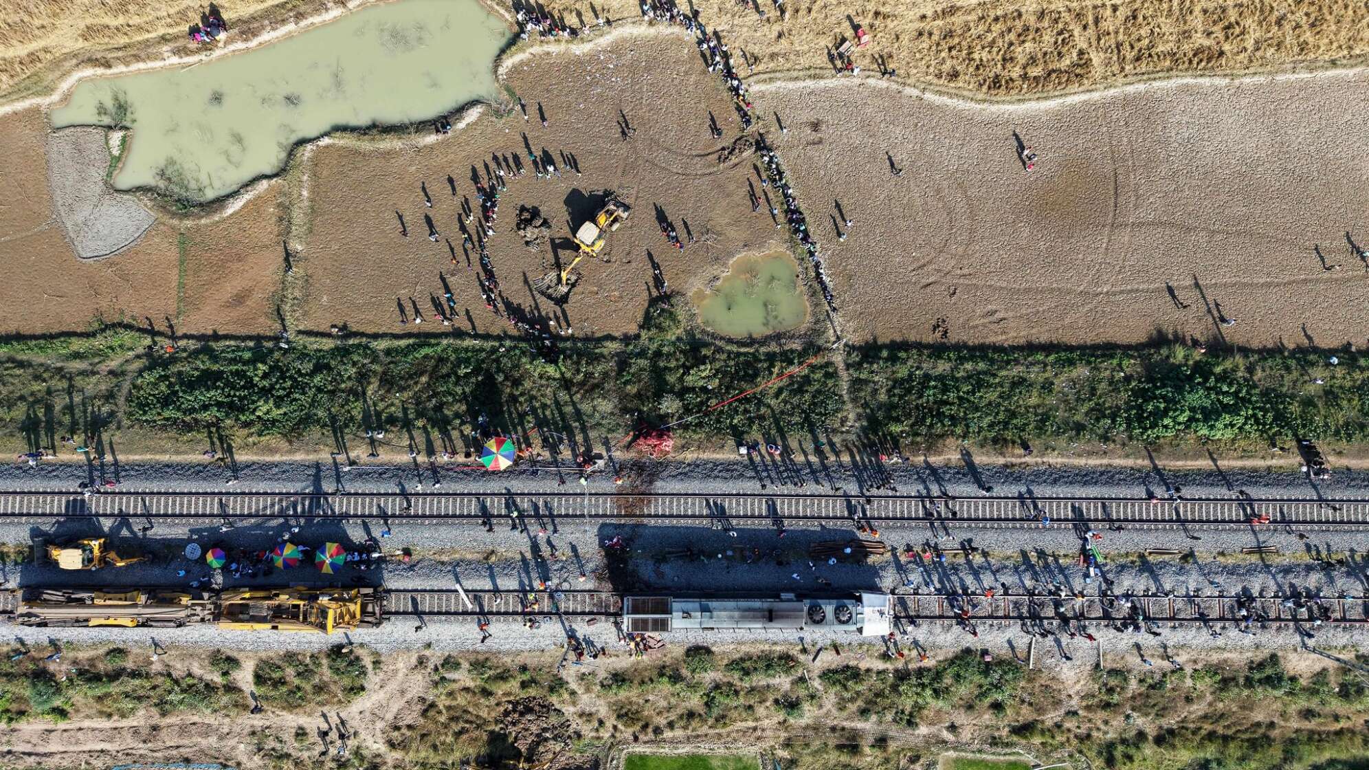 Elefanten sterben in Indien bei Kollision mit Zug