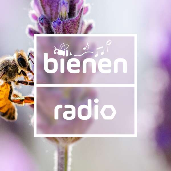 Bienen Radio