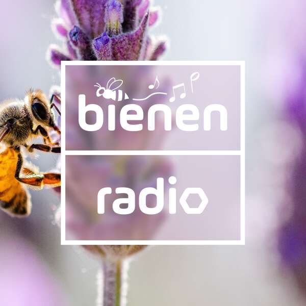 Bienen Radio