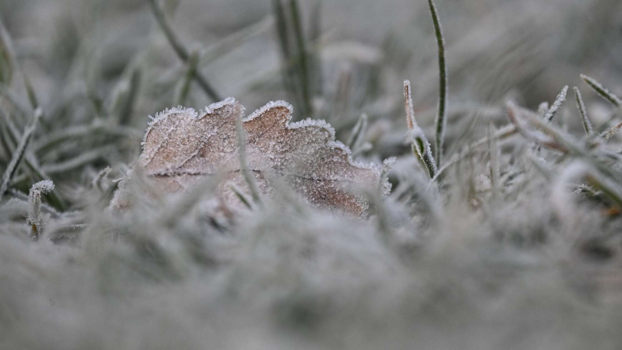Morgenfrost in Baden-Württemberg