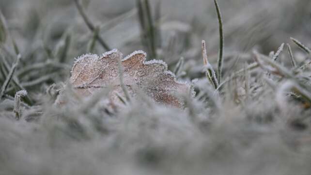 Wo die Chancen auf weiße Weihnachten am höchsten sind