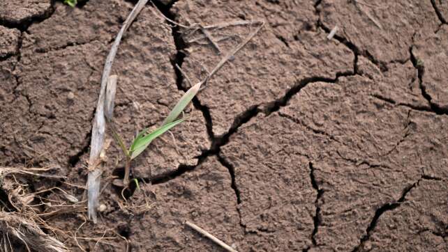 Amt: 2025 war das fünfzehnte zu warme Jahr in Folge