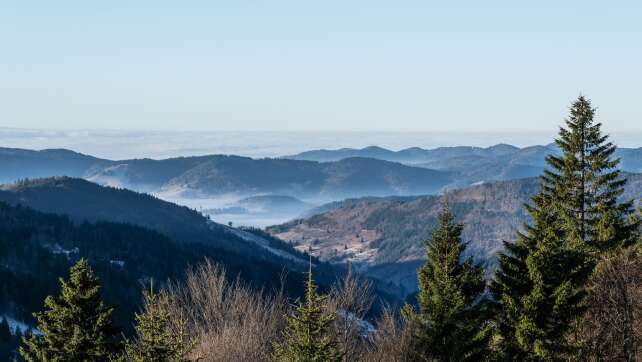 Wetter wird ein wenig milder - Sonniger Sonntag