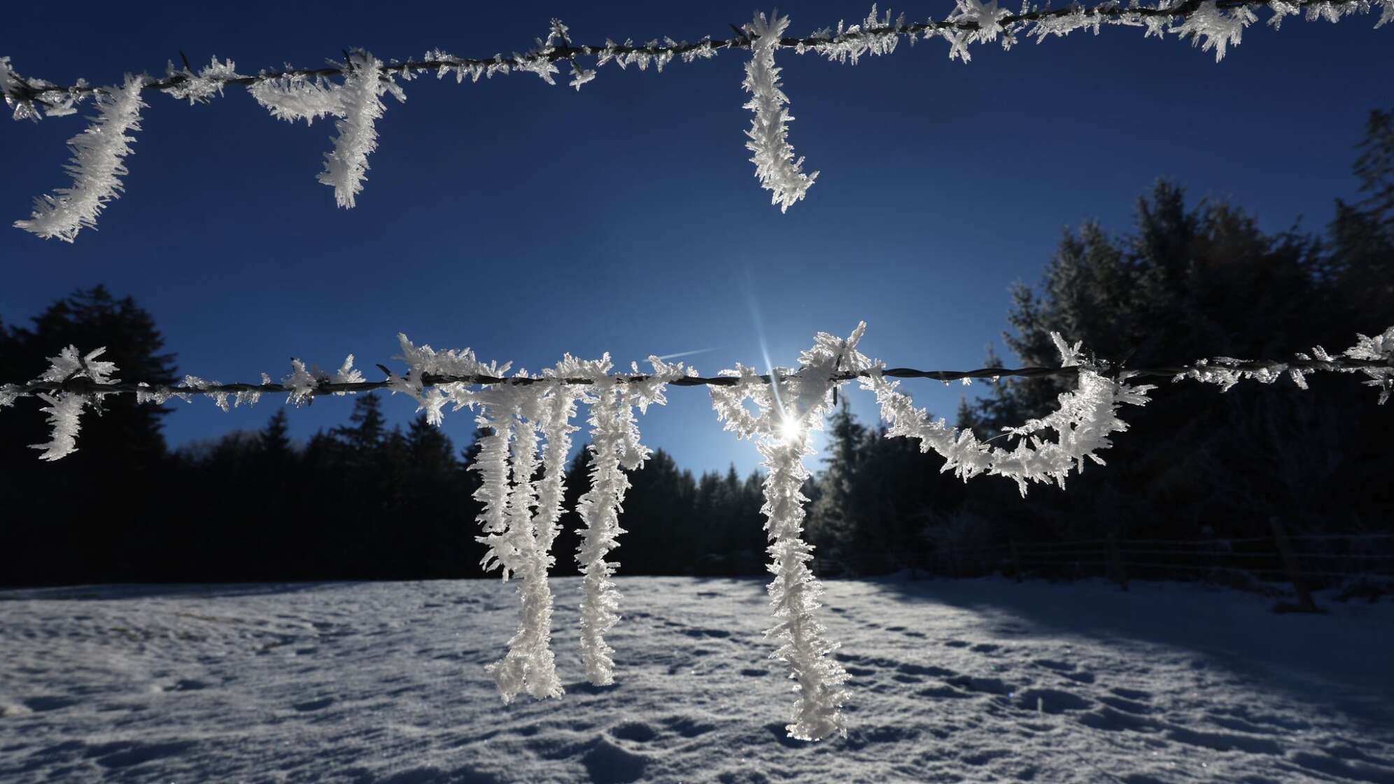 Sonne und Frost in Südbayern