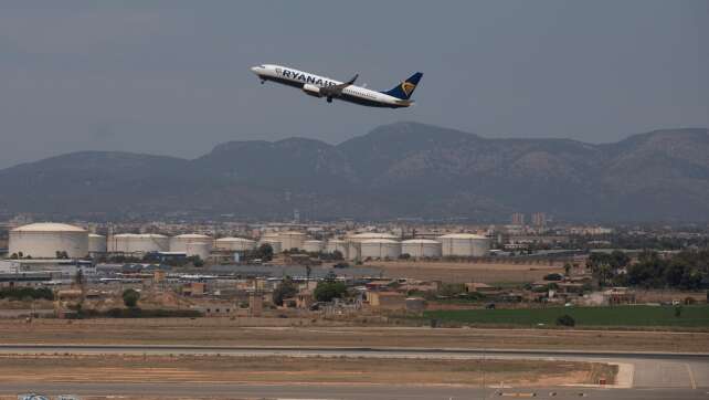 Hundewelpe sorgt am Mallorca-Flughafen für Aufregung