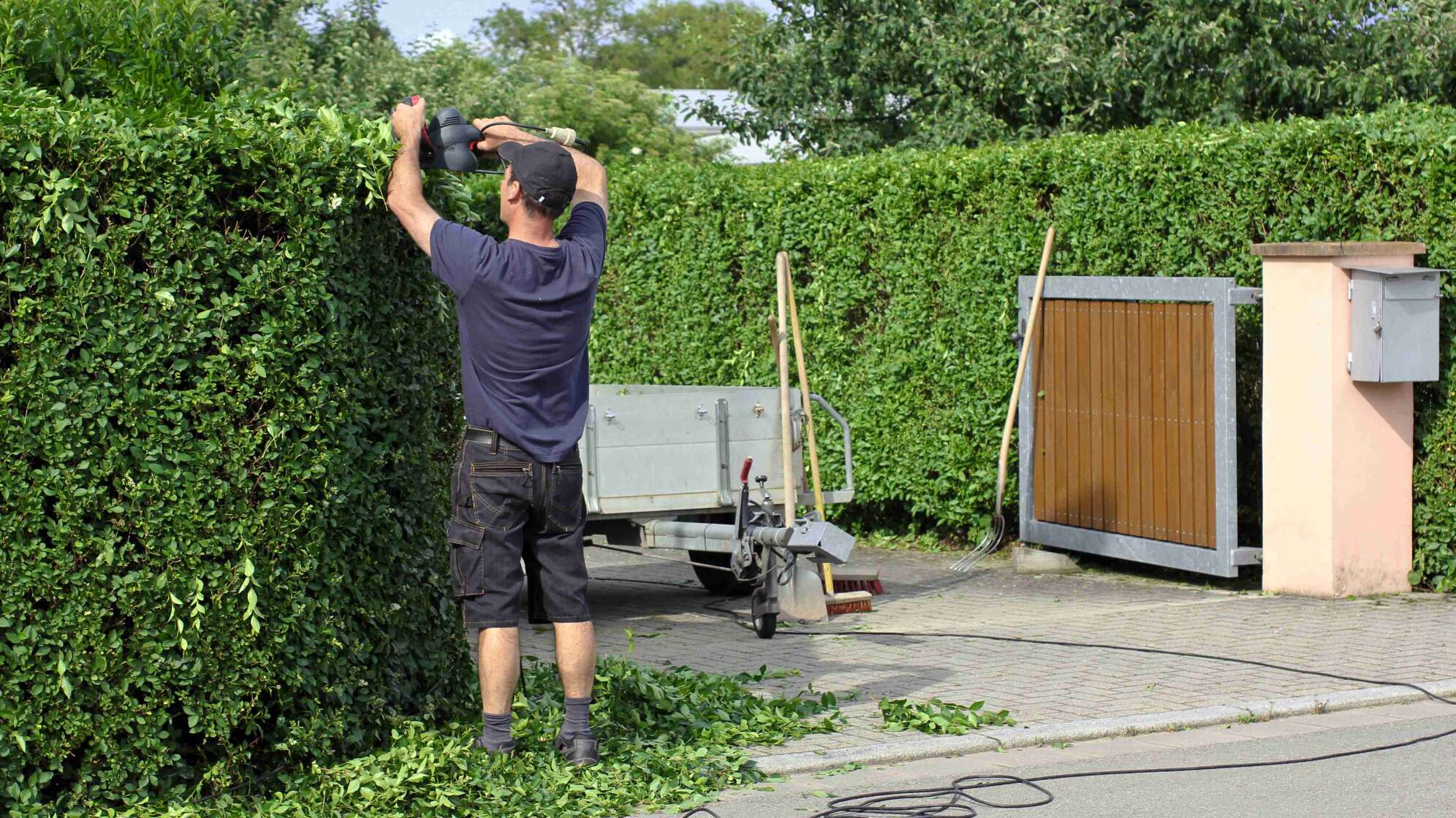 Mann schneidet seine Hecke