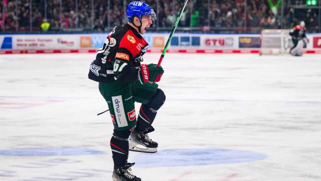 Verstoß gegen Vereinswerte: Augsburg trennt sich von Elias