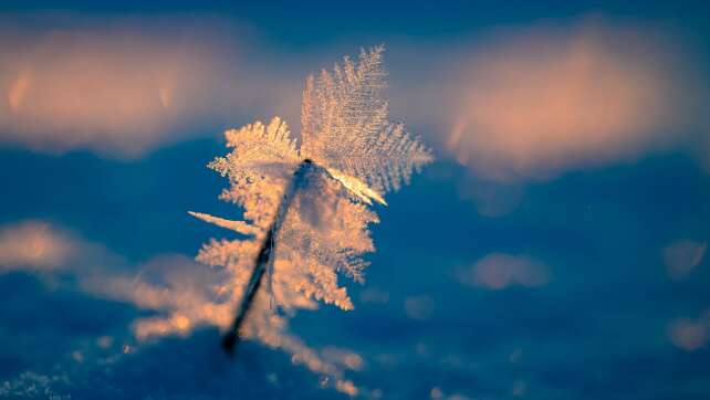Wohnungslosenhilfe: Lebensgefahr für Obdachlose durch Kälte