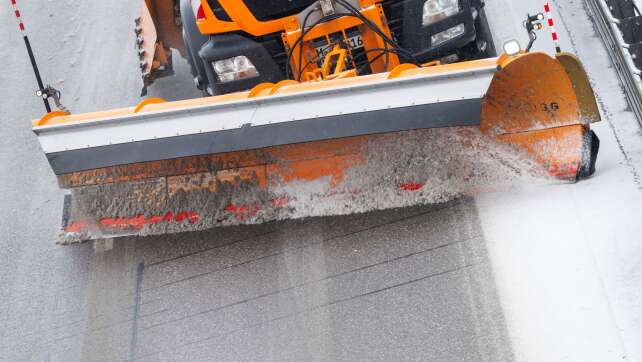 Die glatte «Gunda» wird vertrieben