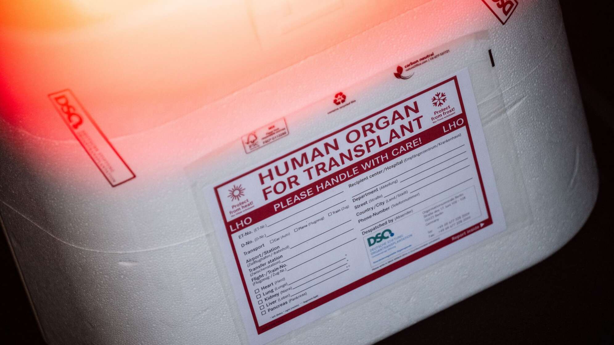 Illustration - Organspende