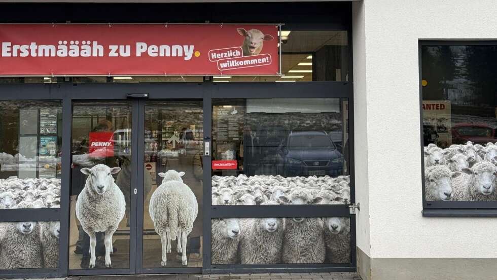 Supermarkt „Schafsinn“ in Burgsinn: Schafe stürmen Laden und bekommen ein Denkmal