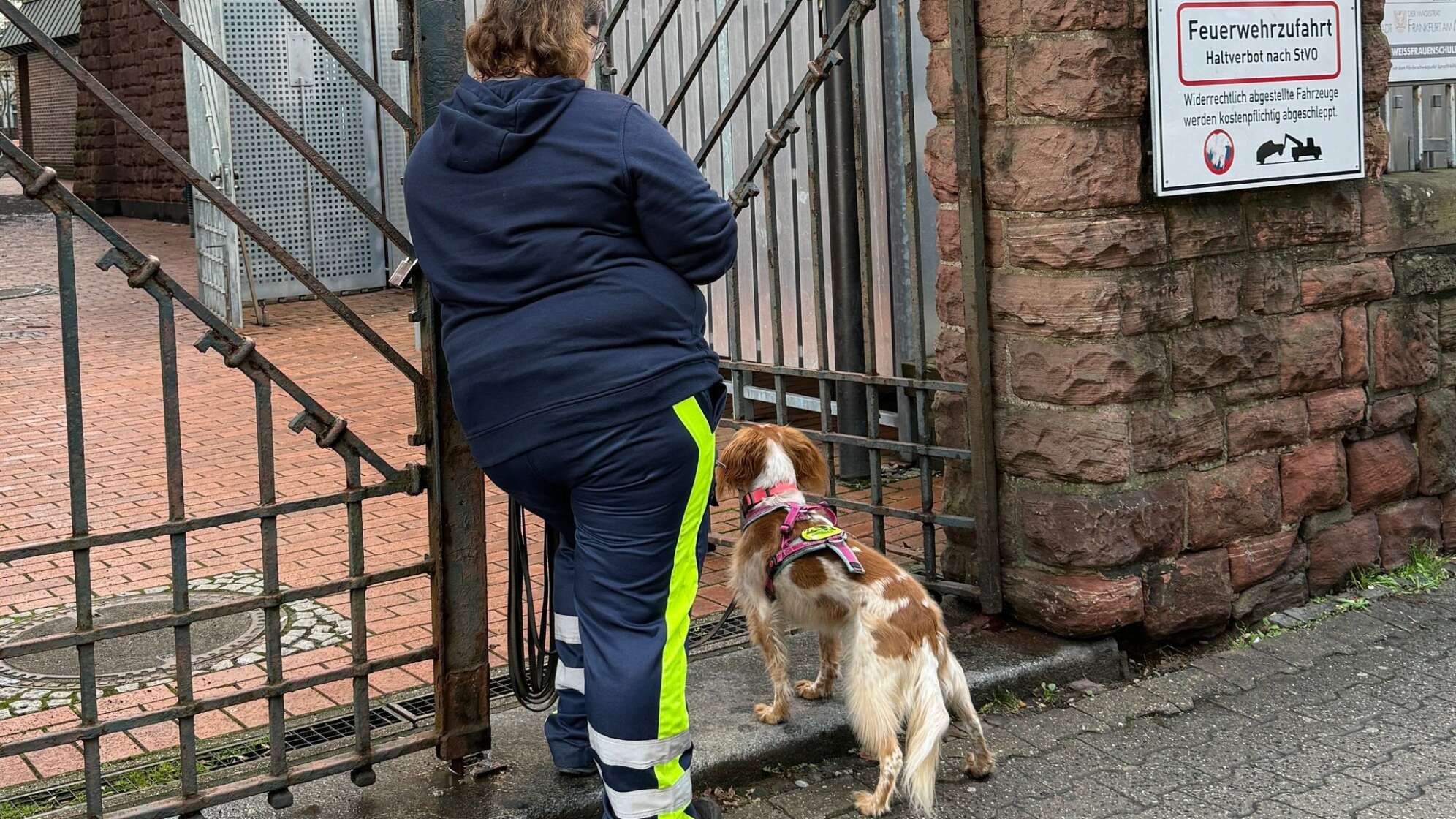 Suche nach achtjährigem Jungen in Frankfurt