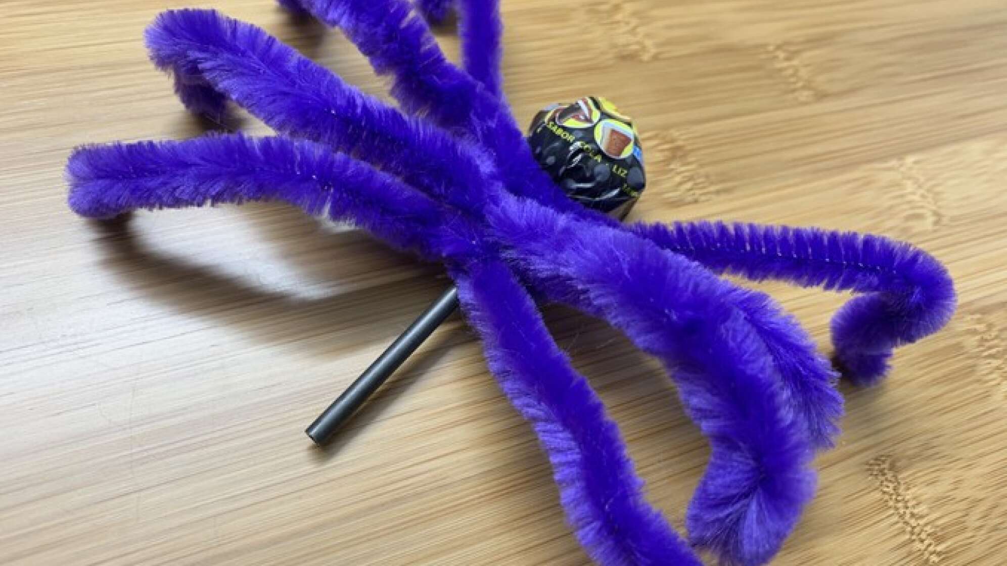 Spinne mit Lolli