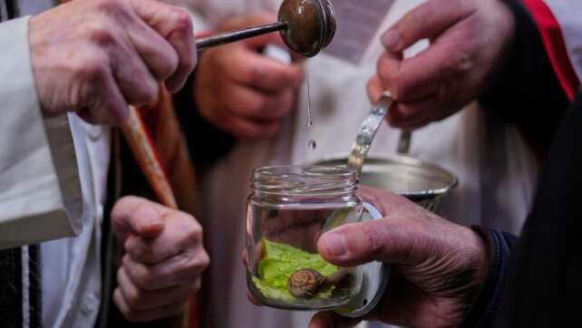 In Spanien wird sogar eine Schnecke gesegnet