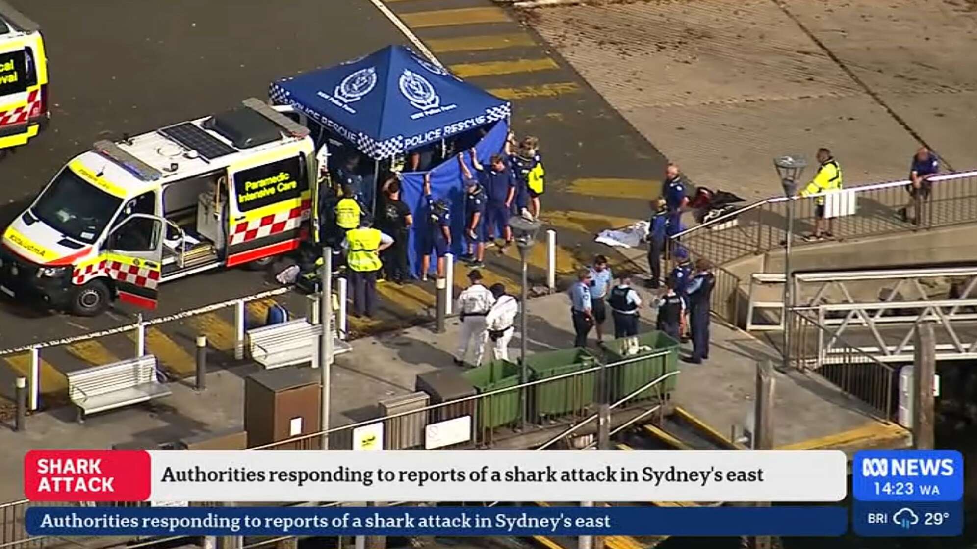 Haiangriff in einem Vorort von Sydney