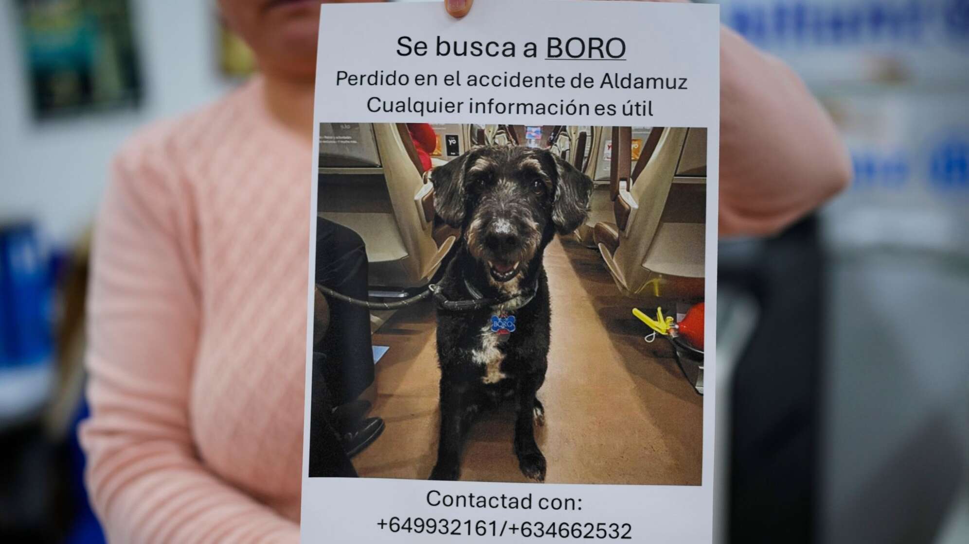 Verlorener Hund nach Zugunglück in Spanien