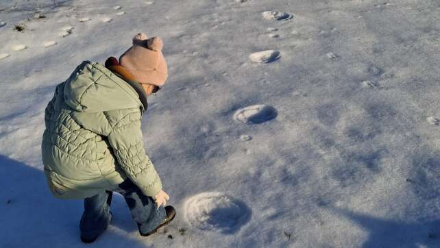 Ungewöhnliche Spuren im Schnee: riesige Fußabdrücke auf Feld in der Oberpfalz entdeckt