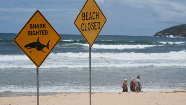 Zwölfjähriger stirbt Tage nach Haiattacke in Australien