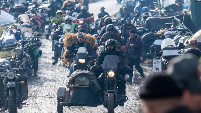 Scharfe Vorschriften sollen Elefantentreffen retten