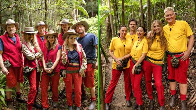 Dschungelcamp: Ofarim will nicht sprechen - oder doch?