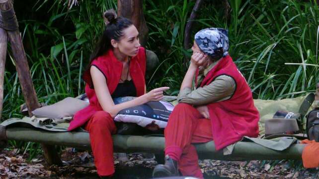 «Schämst du dich nicht?» Schlammschlacht im Dschungelcamp