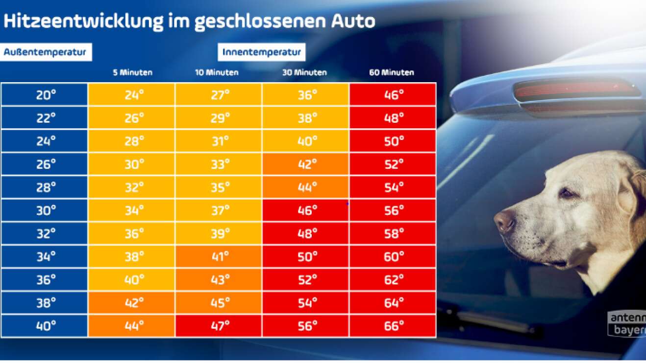 Formel: Wie warm wird es im Auto bei 20 Grad und mehr?