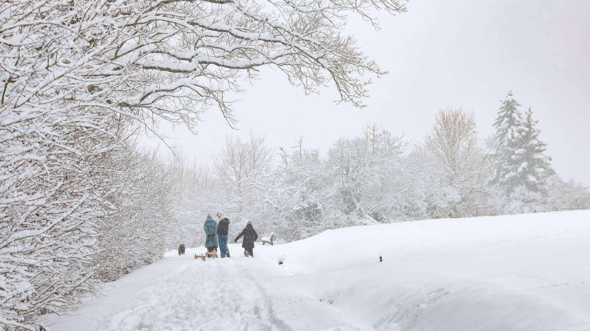 Winterwetter in Bayern